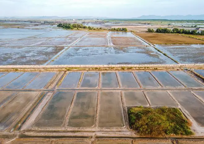 Kampot salt fields