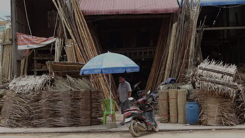 Bamboo stacked along a street in Kampot